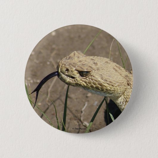 R8 Prairie Rattlesnake Head Shot Ronde Button 5,7 Cm (Voorkant)