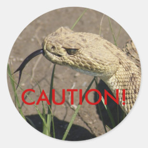 R8 Prairie Rattlesnake Head Shot Ronde Sticker