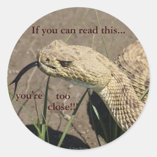 R8 Prairie Rattlesnake Head Shot Ronde Sticker (Voorkant)