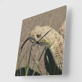 R8 Prairie Rattlesnake Head Shot Vierkante Klok (Hoek)