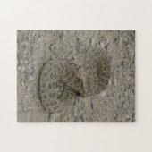 R9 Prairie Ratelslang Opgerold Legpuzzel (Horizontaal)