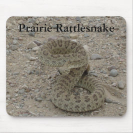 R9 Prairie Ratelslang Opgerold Muismat