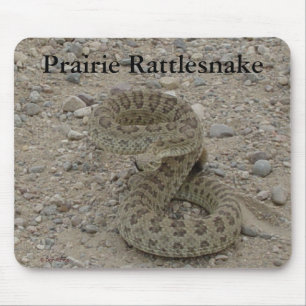 R9 Prairie Ratelslang Opgerold Muismat