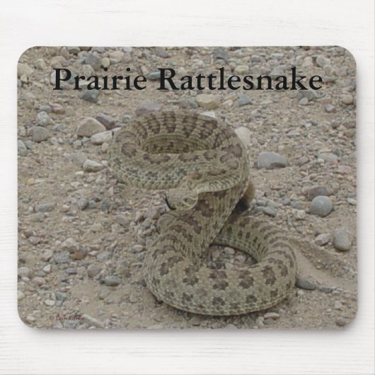 R9 Prairie Ratelslang Opgerold Muismat (Voorkant)