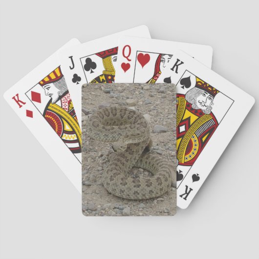 R9 Prairie Ratelslang Opgerold Pokerkaarten (Achterkant)