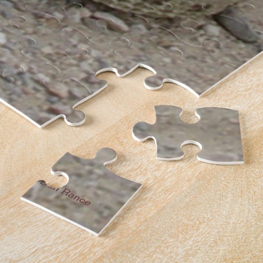 R9 Prairie Rattlesnake Coiled Legpuzzel (Zijkant)