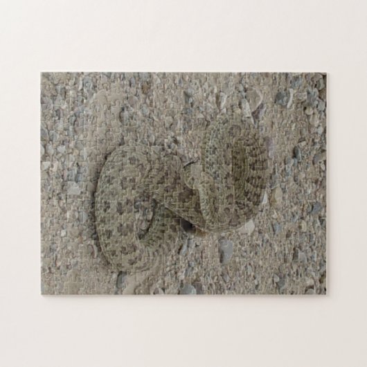 R9 Prairie Rattlesnake Coiled Legpuzzel (Horizontaal)