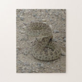 R9 Prairie Rattlesnake Coiled Legpuzzel (Verticaal)