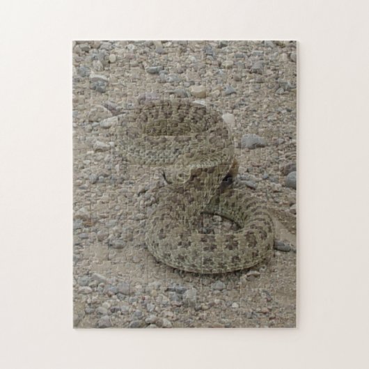 R9 Prairie Rattlesnake Coiled Legpuzzel (Verticaal)