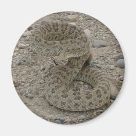 R9 Prairie Rattlesnake Coiled Magneet