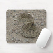 R9 Prairie Rattlesnake Coiled Muismat (Met muis)