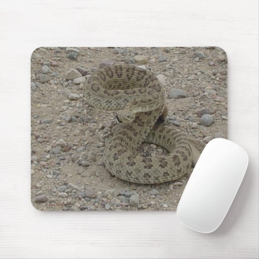 R9 Prairie Rattlesnake Coiled Muismat (Met muis)
