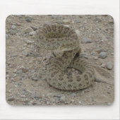 R9 Prairie Rattlesnake Coiled Muismat (Voorkant)