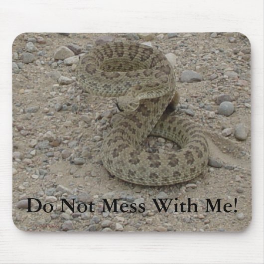 R9 Prairie Rattlesnake Coiled Muismat (Voorkant)