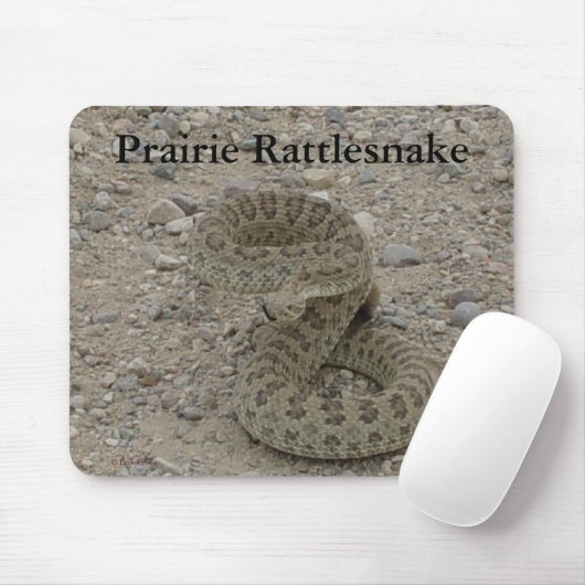 R9 Prairie Rattlesnake Coiled Muismat (Met muis)