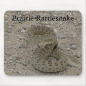 R9 Prairie Rattlesnake Coiled Muismat (Voorkant)