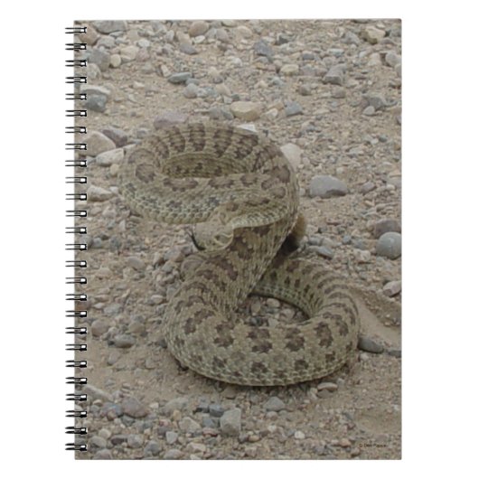 R9 Prairie Rattlesnake Coiled Notitieboek (Voorkant)