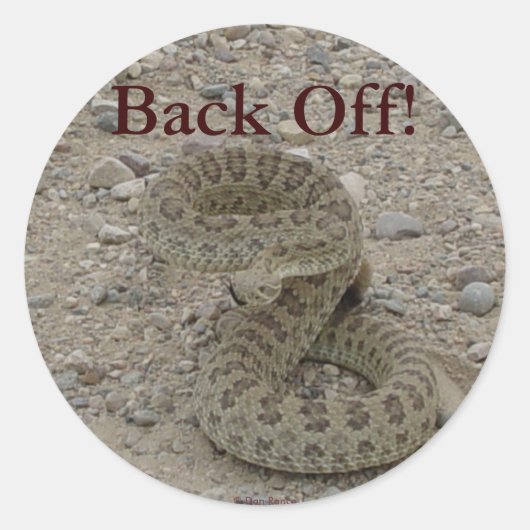 R9 Prairie Rattlesnake Coiled Ronde Sticker (Voorkant)