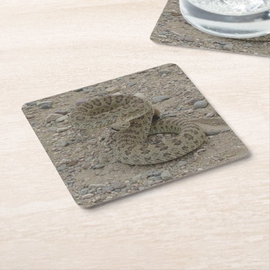 R9 Prairie Rattlesnake Kartonnen Onderzetters (Schuin)