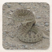 R9 Prairie Rattlesnake Kartonnen Onderzetters (Voorkant)