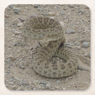 R9 Prairie Rattlesnake Kartonnen Onderzetters
