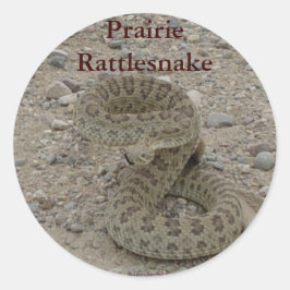 R9 Prairie Rattlesnake Opgerold Ronde Sticker