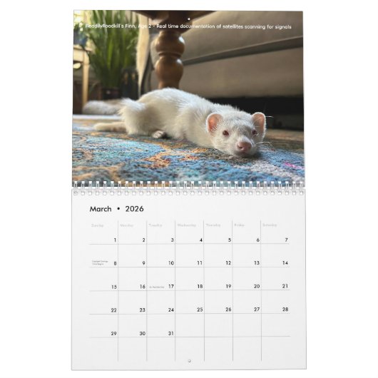 r/ferrets Calendar 4th Edition (2026) Kalender (Mar 2026)