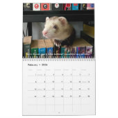 r/ferrets Calendar 4th Edition (2026) Kalender (Feb 2026)