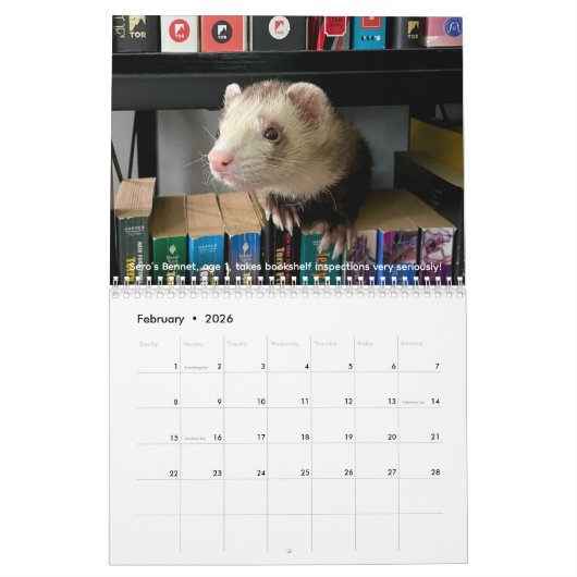 r/ferrets Calendar 4th Edition (2026) Kalender (Feb 2026)