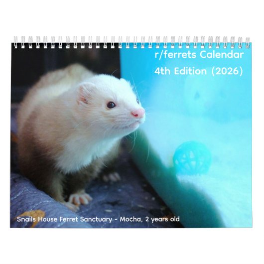 r/ferrets Calendar 4th Edition (2026) Kalender (Hoes)