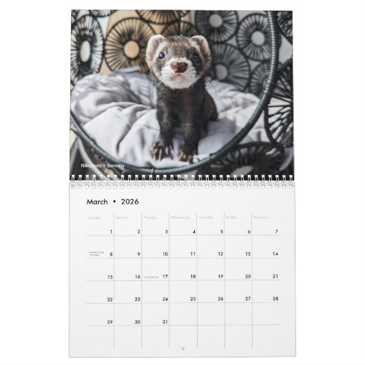 r/ferrets Calendar 5th Edition (2026) Kalender (Mar 2026)