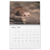 r/ferrets Calendar 5th Edition (2026) Kalender (Feb 2026)