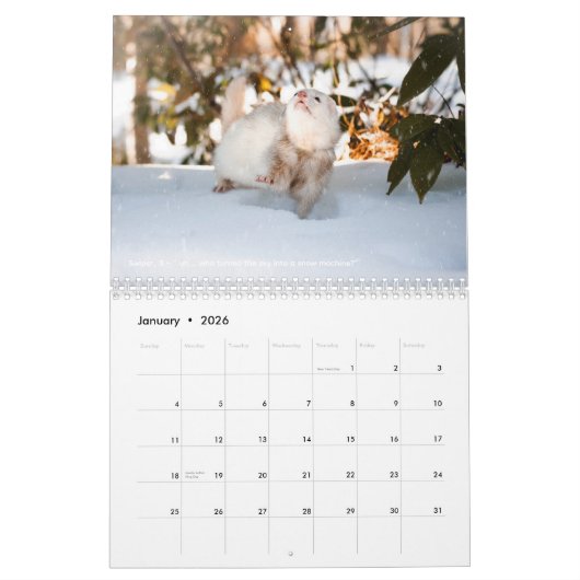 r/ferrets Calendar 5th Edition (2026) Kalender (Jan 2026)