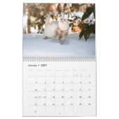 r/ferrets Calendar 5th Edition (2026) Kalender (Jan 2027)