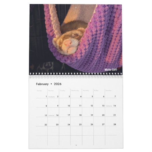 R/fretten 2024 Wedstrijdkalender Kalender (Feb 2026)