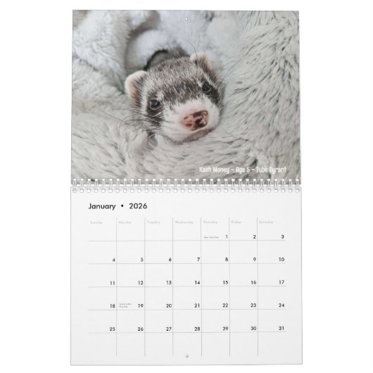 R/fretten 2024 Wedstrijdkalender Kalender (Jan 2026)