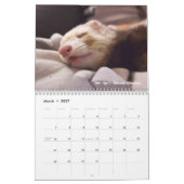 R/fretten 2024 Wedstrijdkalender Kalender (Mar 2027)