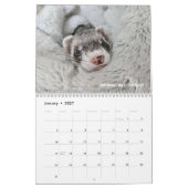 R/fretten 2024 Wedstrijdkalender Kalender (Jan 2027)