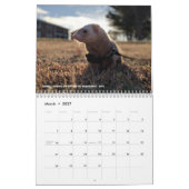 r/fretten Kalender 3.5 Editie (2025) Alle Feestdag (Mar 2027)