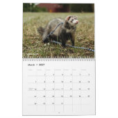 r/fretten Kalender 3e editie (2025) (Mar 2027)
