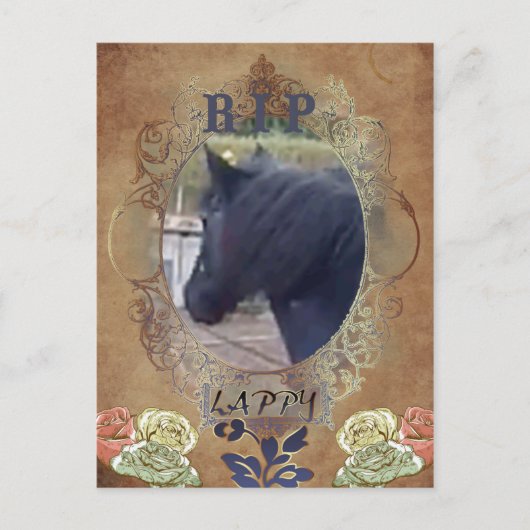 R.I.P. LAPPY - Briefkaart (Voorkant)