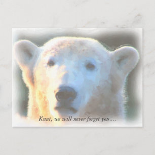 R.I.P. polair beer Knut waterverf Briefkaart