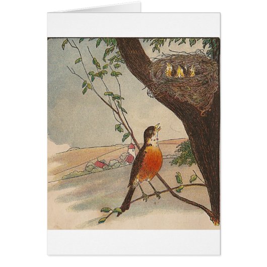 R is voor Robin (Voorkant)