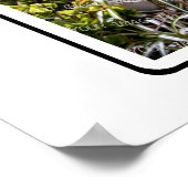 R Monogram Creëer Uw Eigen 8 Aangepaste Foto Colla Poster (Hoek)