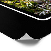 R Monogram Creëer Uw eigen 8 Foto Collage Black Poster (Hoek)