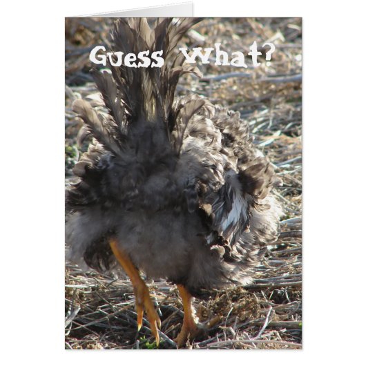 Raad eens? Chicken Butt (Voorkant)