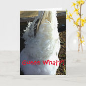 Raad eens?! (Chicken Butt Photo) Wenskaart Kaart (Gele Bloem)