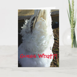 Raad eens?! (Chicken Butt Photo) Wenskaart Kaart