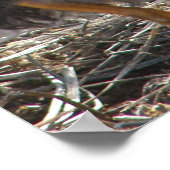 Raad eens? Chicken Butt Poster (Hoek)