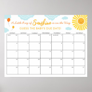 Raad eens de Baby Vervaldatum Teken Little Ray Sun Poster